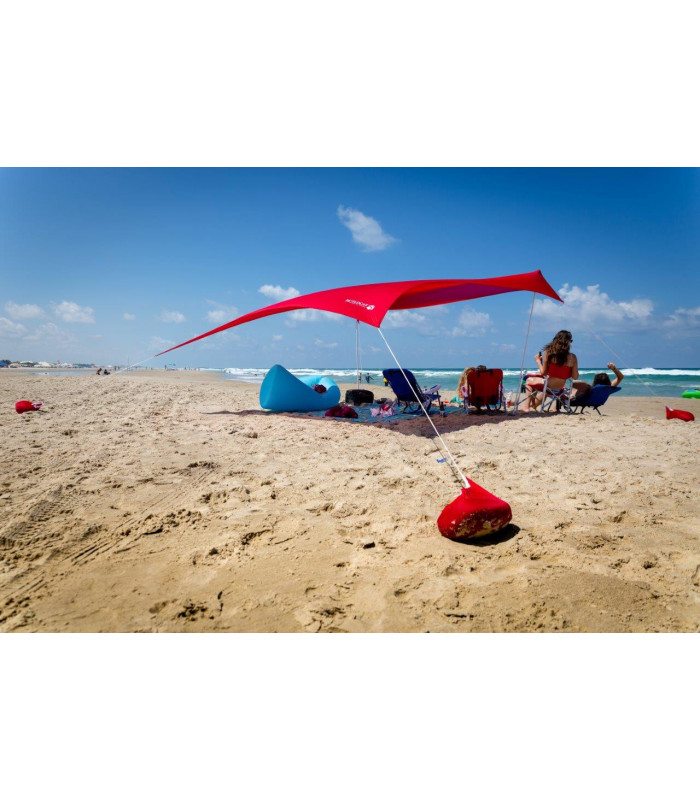 ציליה לים בינונית