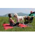 מחצלת ים וקמפינג 2X2 מטר Islander Blanket