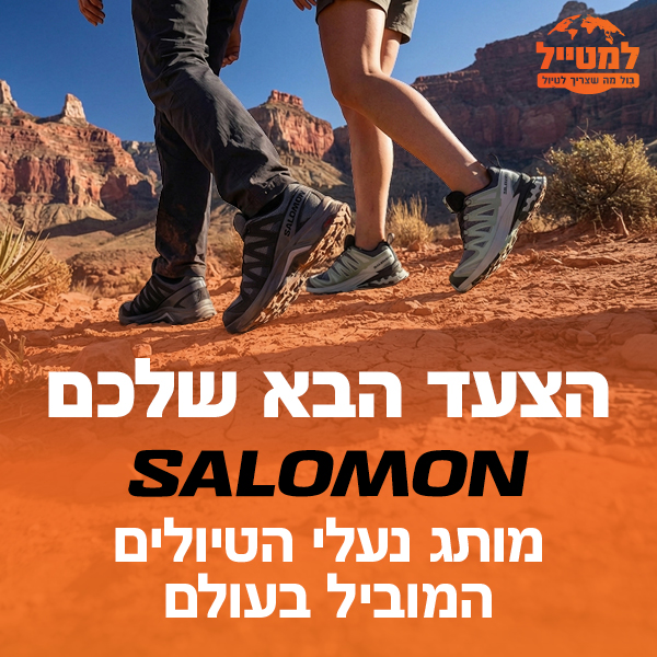 נעלי סלומון 